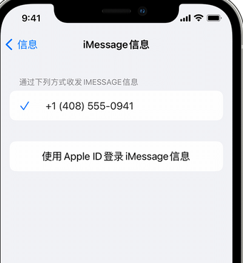 根河apple维修iPhone上无法正常发送iMessage信息 