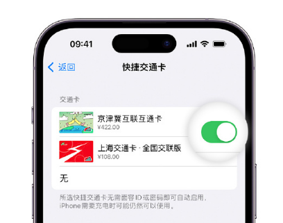 根河apple维修点分享iPhone上更换Apple Pay快捷交通卡手绘卡面 