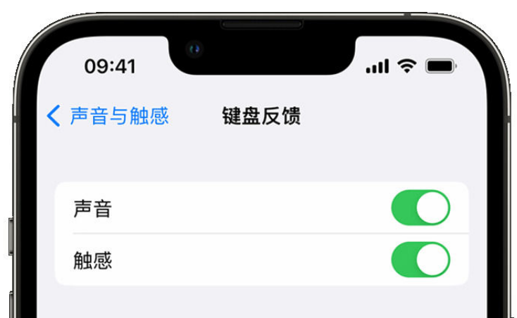 根河苹果手机维修分享iPhone 14触感键盘使用方法 