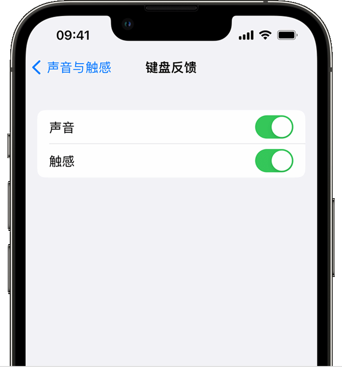 根河苹果14维修店分享如何在 iPhone 14 机型中使用触感键盘 