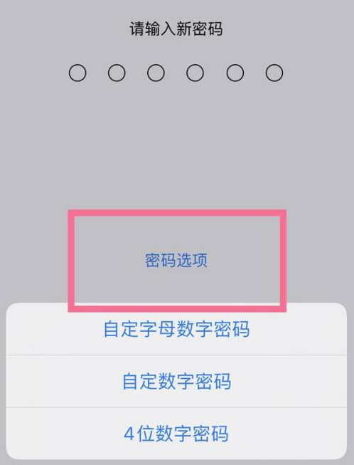 根河苹果14维修分享iPhone 14plus设置密码的方法 