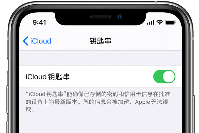 根河苹果手机维修分享在 iPhone 上开启 iCloud 钥匙串之后会储存哪些信息 