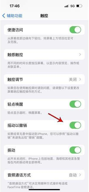 根河苹果手机维修分享iPhone手机如何设置摇一摇删除文字 